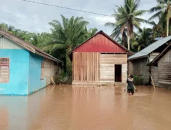 Banjir Bandang Landa Buol Sulteng, 708 Jiwa Terdampak