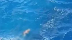 Wisatawan jatuh dari Tebing Apparalang Bulukumba