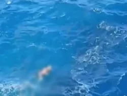 Viral Wisatawan Jatuh dan Terseret Ombak di Apparalang Bulukumba, Ditemukan Meninggal Dunia