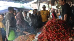Harga Barito di Pasar Inpres Manonda Palu Merangkak Naik
