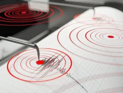 Gempa M 7,7 Guncang Sangihe Sulut, BMKG Keluarkan Peringatan Dini Tsunami