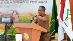 Anwar Hafid Target Produktivitas Padi Sulteng Capai 6 Ton per Hektare Tahun 2027