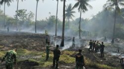 Kebakaran Hanguskan 1 Hektare Lahan di Desa Moutong Barat Parimo